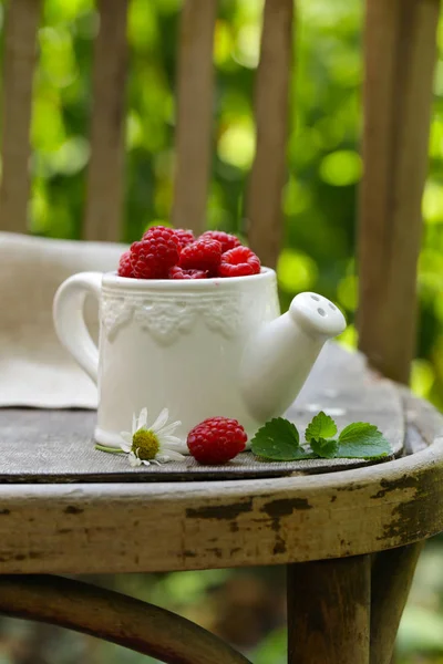 Frische Bio Himbeere Rustikales Stillleben — Stockfoto