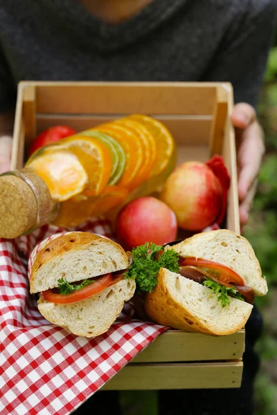 ピクニック サンドイッチとレモネードのかごを持つ少年 — ストック写真