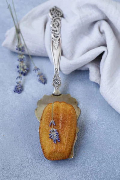 French Cookies Madeleine Form Shells — Stock Photo, Image