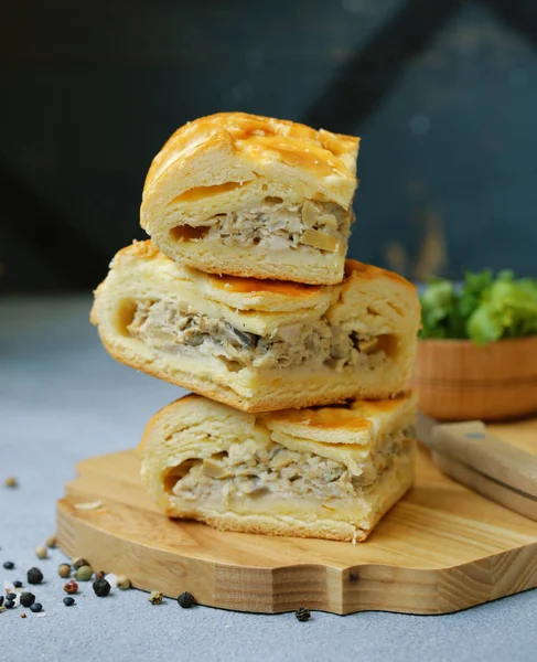 Vlees Pie Met Kip Champignons Voor Lunch — Stockfoto