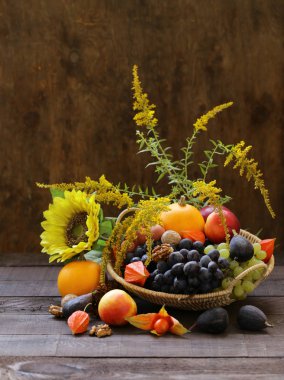 Sonbahar Natürmort meyve organik hasat