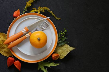 kabak ve çiçekler ile sonbahar tablo ayarı