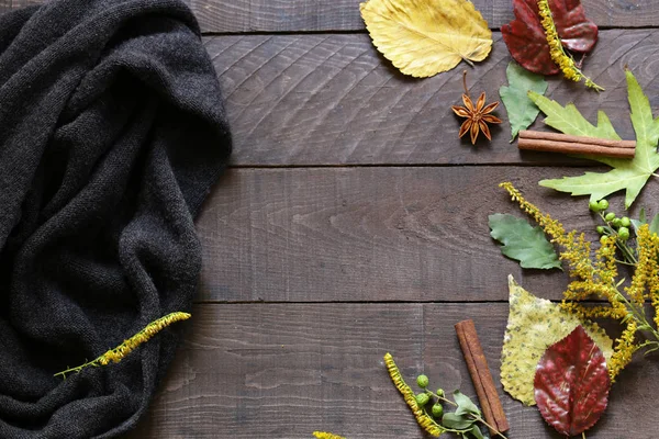 Herbst Hintergrund Mit Gelben Blättern — Stockfoto