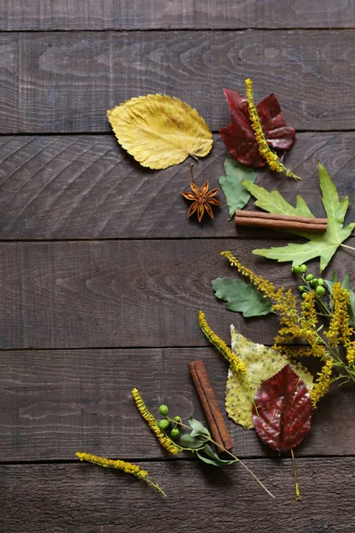 Fond Automne Avec Des Feuilles Jaunes — Photo