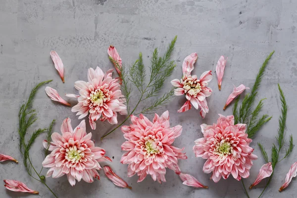 Φθινοπωρινή Σύνθεση Λουλούδια Για Διακόσμηση Φόντο — Φωτογραφία Αρχείου