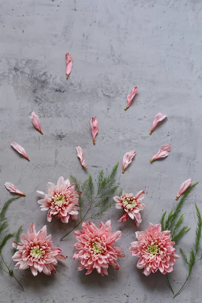 Φθινοπωρινή Σύνθεση Λουλούδια Για Διακόσμηση Φόντο — Φωτογραφία Αρχείου