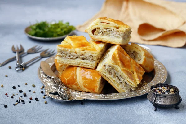 Torta Carne Com Frango Cogumelos Para Almoço — Fotografia de Stock