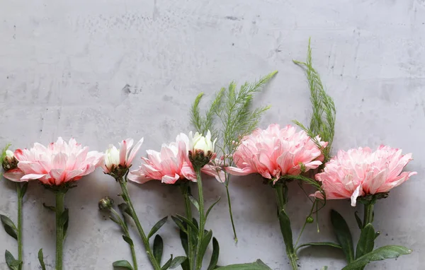 Sonbahar Çiçek Kompozisyon Dekor Arka Planı Için — Stok fotoğraf