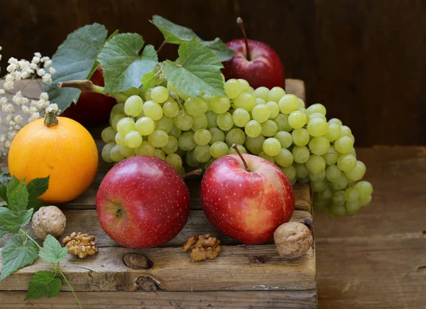 Bodegón Otoño Con Frutas Calabazas —  Fotos de Stock