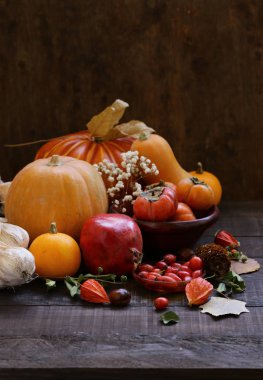 Balkabağı ve böğürtlenlerle dolu bir sonbahar