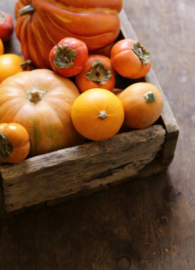 Balkabağı ve böğürtlenlerle dolu bir sonbahar