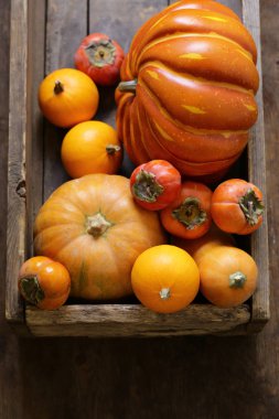 Balkabağı ve böğürtlenlerle dolu bir sonbahar