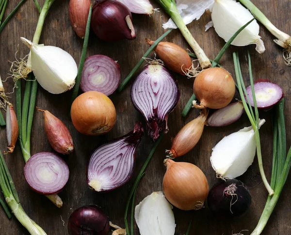 Natural Organic Onions Different Varieties — Stock Photo, Image