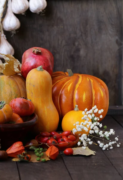 Automne Nature Morte Avec Des Citrouilles Des Baies — Photo