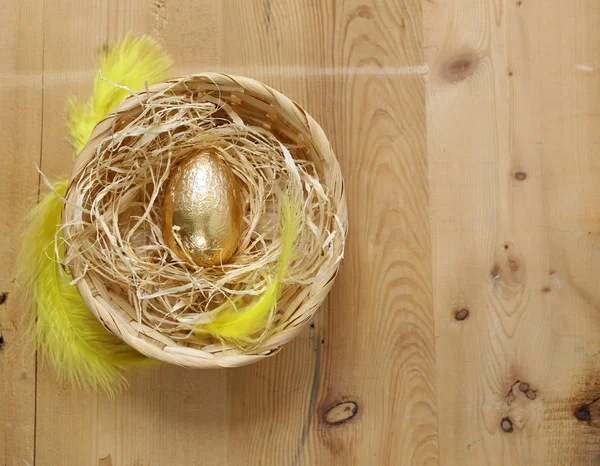富の象徴を黄金の卵 — ストック写真
