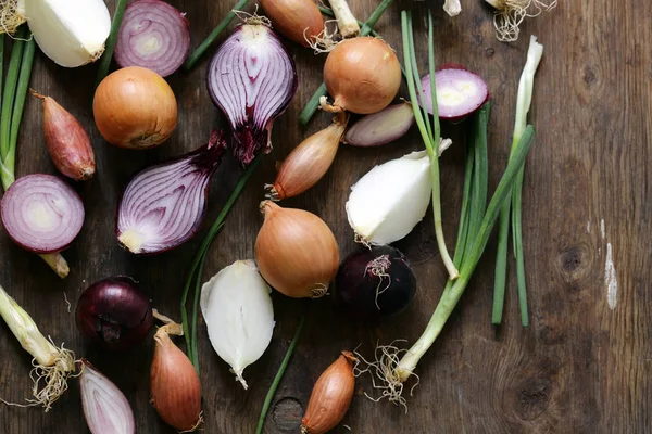 Alami Bawang Organik Dari Varietas Yang Berbeda — Stok Foto