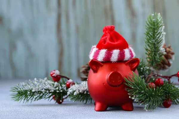 Cerdo Rojo Gracioso Símbolo Del Nuevo Año —  Fotos de Stock