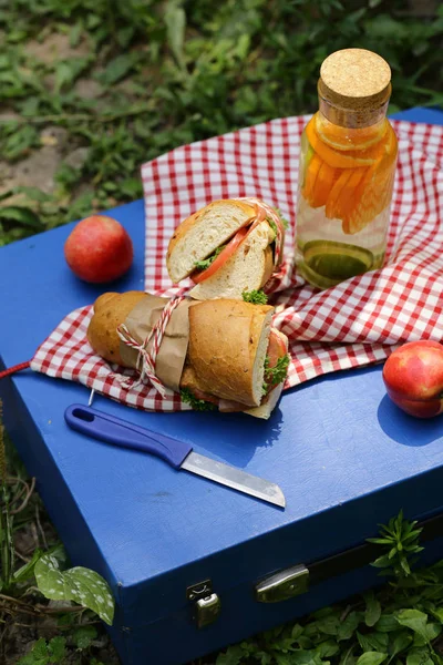 Picnic Sándwiches Limonada Comida Bebida — Foto de Stock