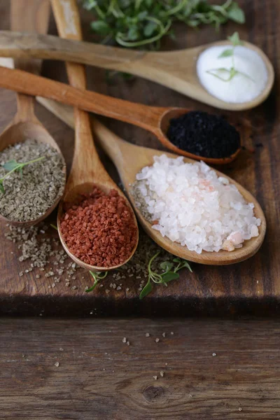 Verschiedene Arten Von Salz Holzlöffeln — Stockfoto