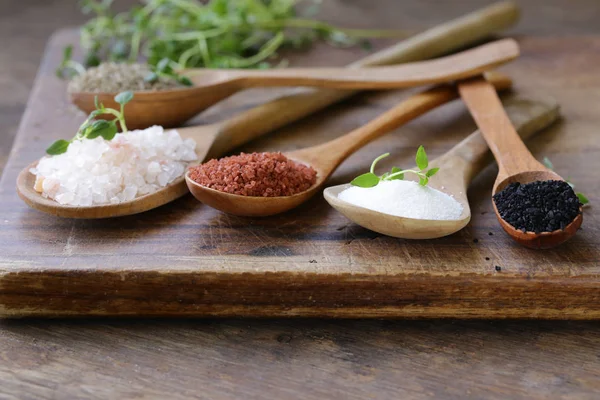 Different Varieties Salt Wooden Spoons — Stock Photo, Image