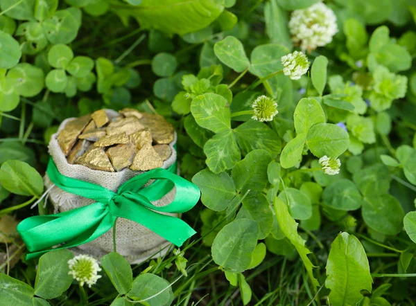 Symbol Patrick Day Shamrocks Gold — Stock Photo, Image