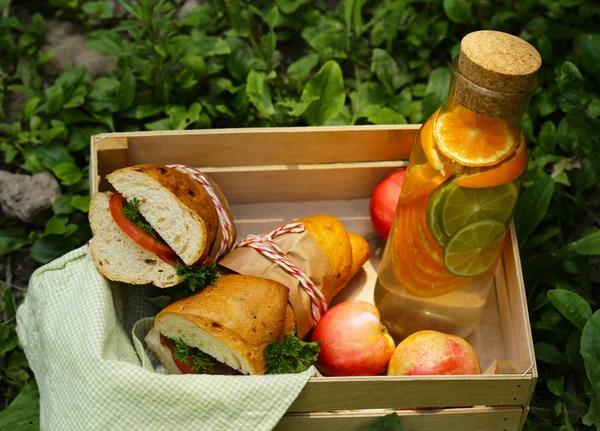 Пікнік Бутерброди Лимонад Їжа Напої — стокове фото