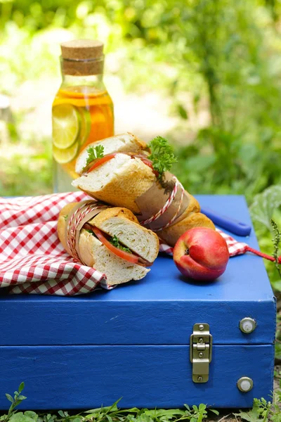 ピクニック サンドイッチとレモネード 食べ物と飲み物 — ストック写真