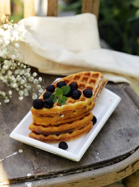 Солодкі Вафлі Ягодами Десерту Відкритий Пікнік — стокове фото