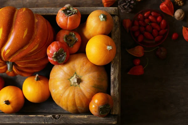 Automne Nature Morte Avec Des Citrouilles Des Baies — Photo