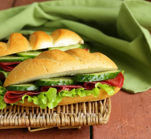 新鲜蔬菜 绿色沙拉和乳酪三明治 — 图库照片