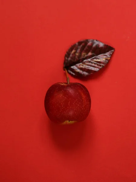 Manzanas Caramelo Rojo Para Golosinas Navideñas —  Fotos de Stock