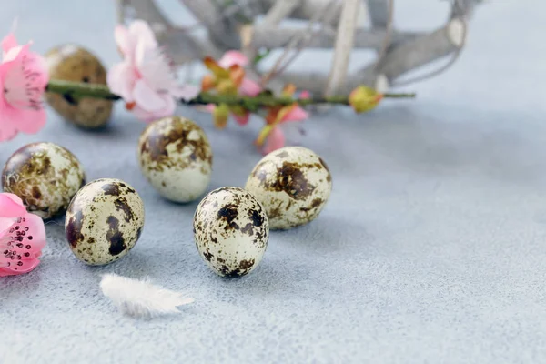 Composición Pascua Con Decoración Huevos Codorniz —  Fotos de Stock