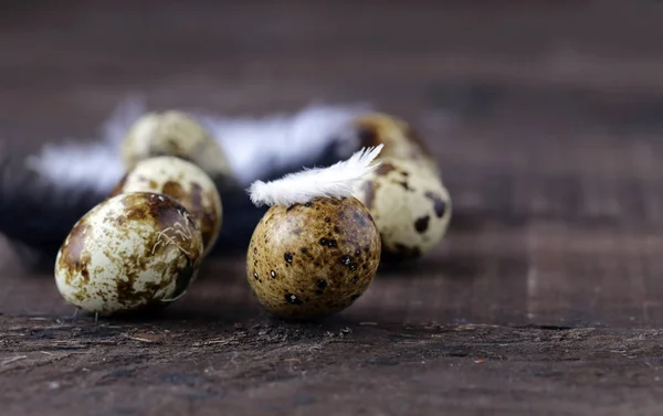 Easter Composition Quail Eggs Decoration — Stock Photo, Image