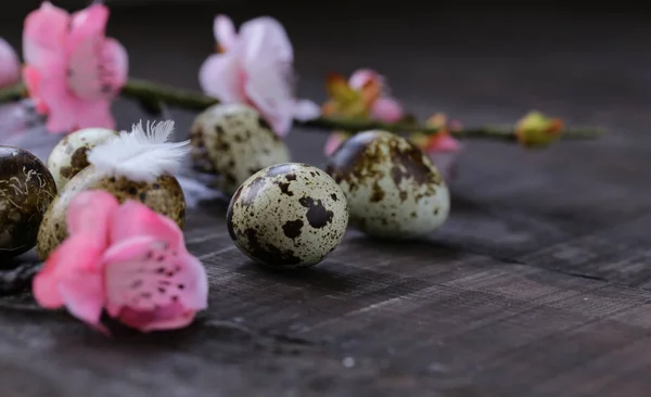 Easter Composition Quail Eggs Decoration — Stock Photo, Image