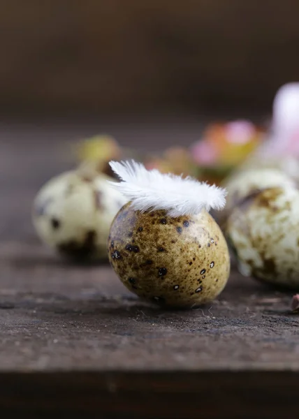 Composição Páscoa Com Decoração Ovos Codorna — Fotografia de Stock