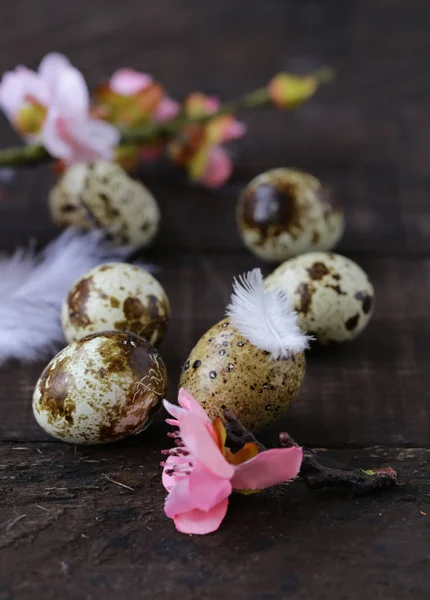 Composição Páscoa Com Decoração Ovos Codorna — Fotografia de Stock