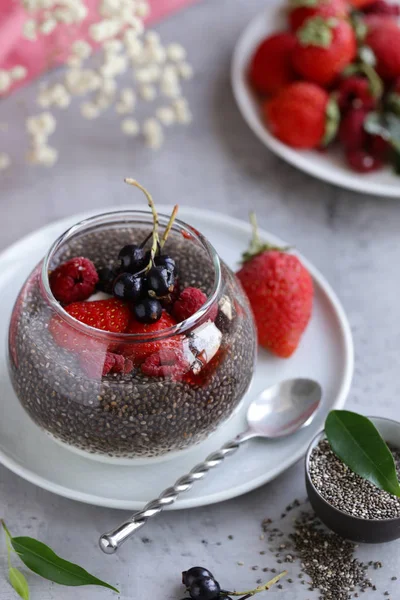 Pudim Chia Com Bagas Para Uma Dieta Saudável — Fotografia de Stock