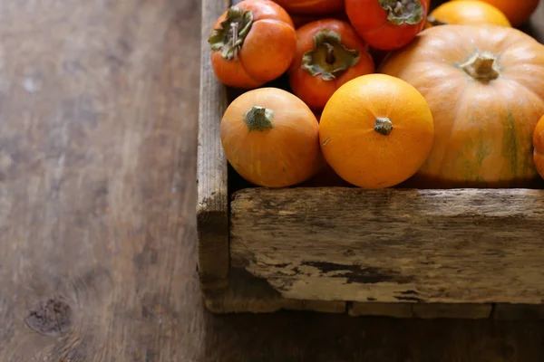 Automne Nature Morte Avec Des Citrouilles Des Baies — Photo