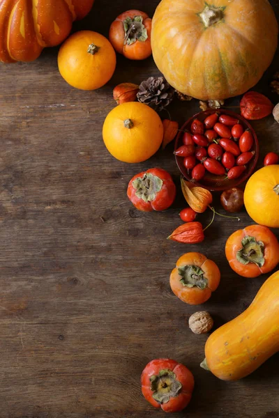 Automne Nature Morte Avec Des Citrouilles Des Baies — Photo