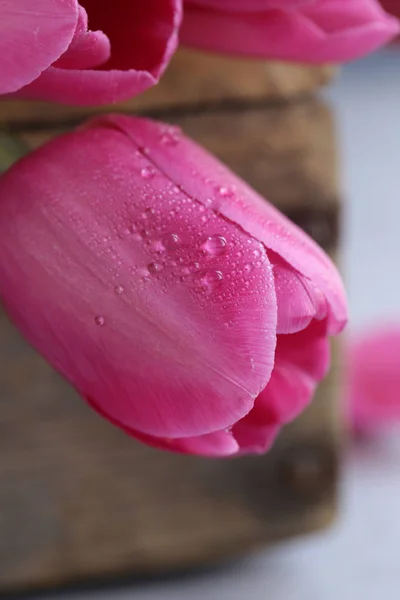 Frühlingsblumen Rosa Tulpenstrauß Als Dekor — Stockfoto