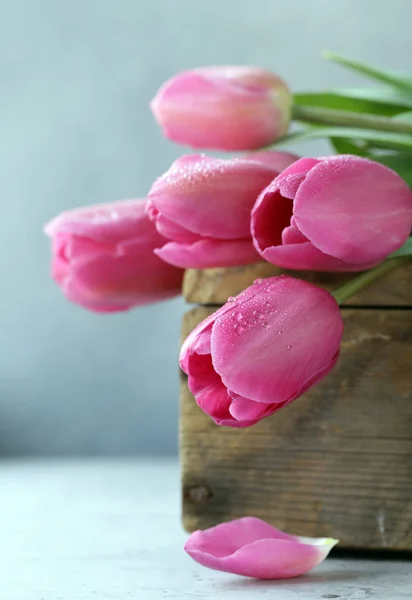 Spring Flowers Pink Tulips Bouquet Decor — Stock Photo, Image