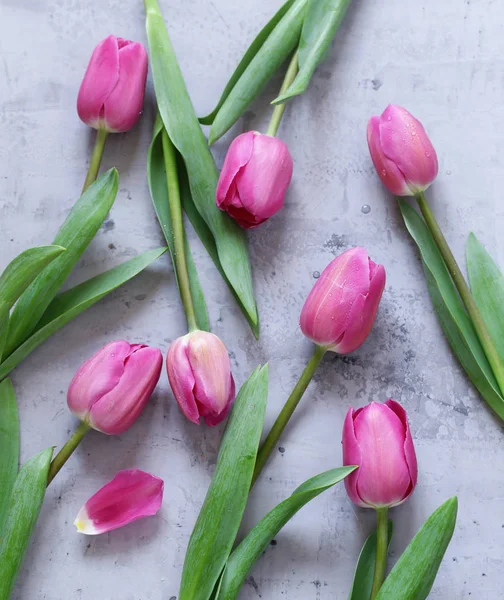 Jarní Květiny Růžová Kytice Tulipány Pro Výzdobu — Stock fotografie