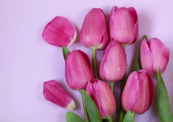 Jarní Květiny Růžová Kytice Tulipány Pro Výzdobu — Stock fotografie