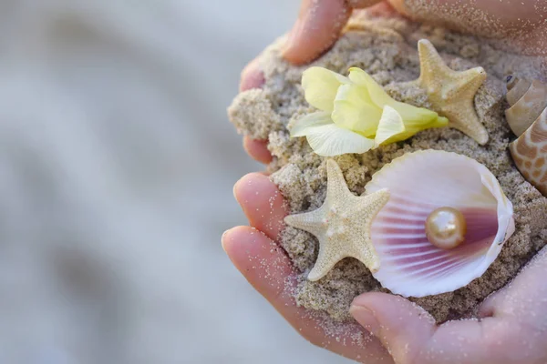 Sabbia Conchiglie Stelle Marine Nelle Mani Concetto Vacanza — Foto Stock