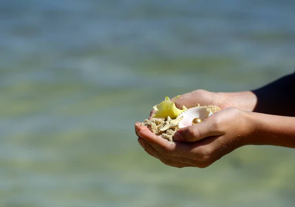 Sand Shells Starfish Hands Vacation Concept — Stock Photo, Image