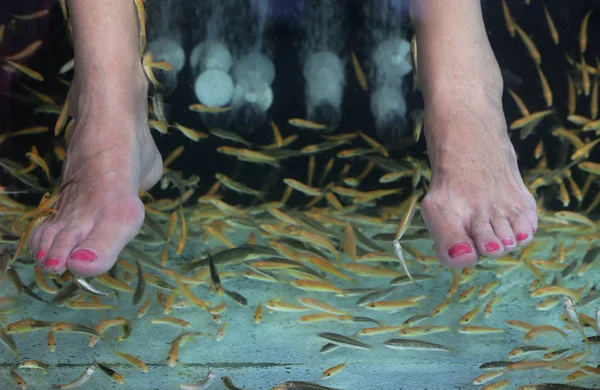 fish pedicure, feet and small fish