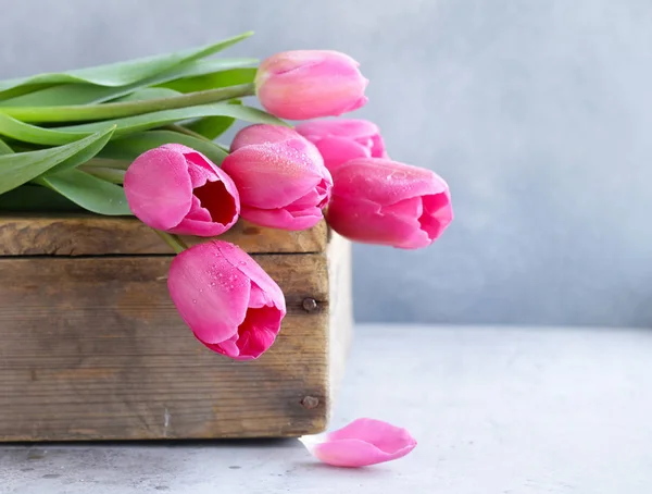 Spring Flowers Pink Tulips Bouquet Decor — Stock Photo, Image