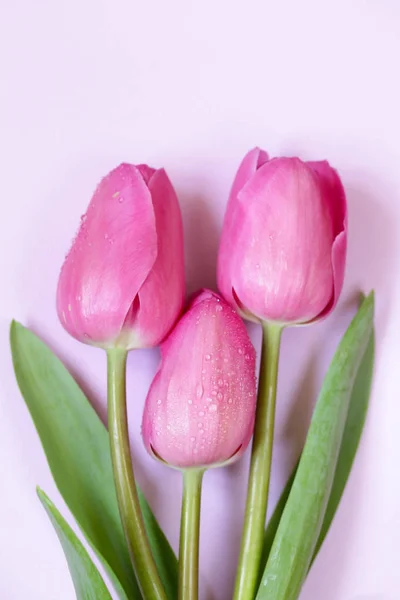 Jarní Květiny Růžová Kytice Tulipány Pro Výzdobu — Stock fotografie