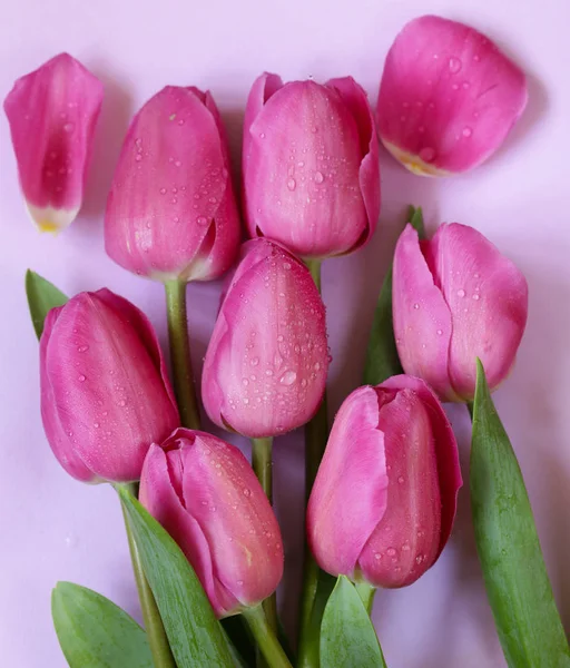 Spring Flowers Pink Tulips Bouquet Decor — Stock Photo, Image