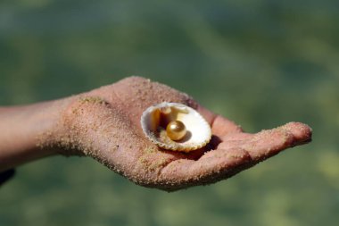 kum, kabukları ve denizyıldızı ellerini, tatil kavramı